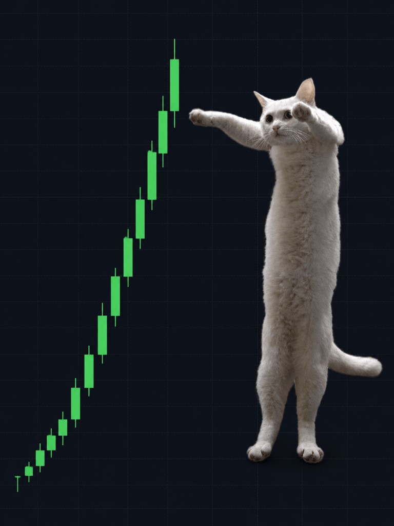 Long Cat beside a rising green candlestick chart